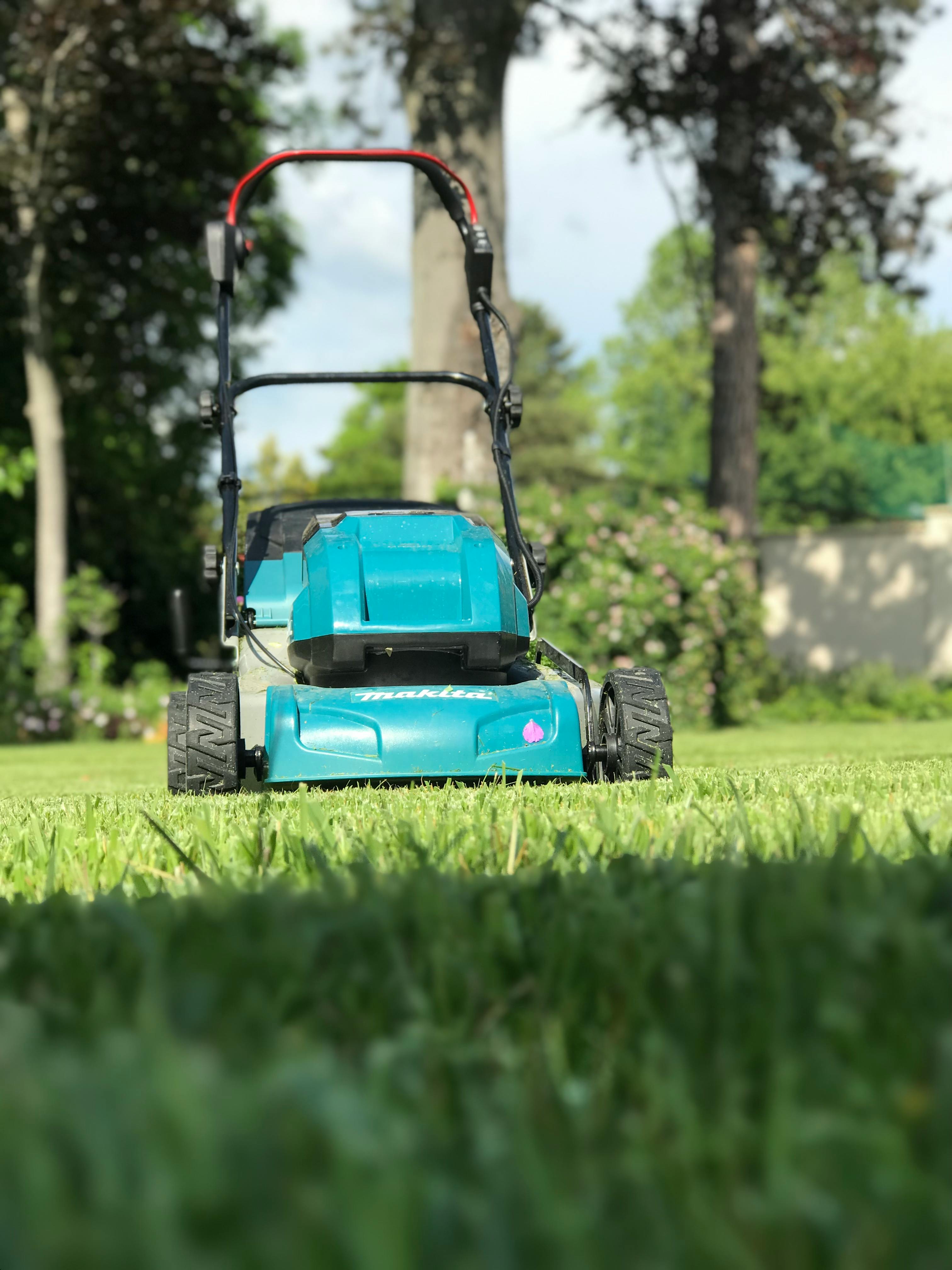 Lawn Mowing